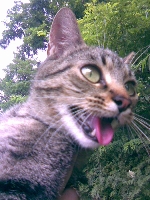 Uff, jak gor�co :)