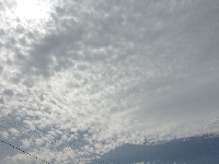 Lubi� patrze� do g�ry, ponad siebie, w chmury