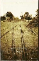 Mi�dzy innymi moje wiersze.