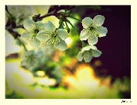 Mi�o�� do fotografii