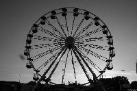 Fortuna ko�em si� toczy...