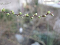 Czas si� obudzi� z zimowego snu.