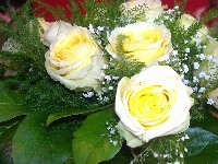 Moja wi�zanka �lubna