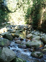 pod pr�d w strone �wiat�a