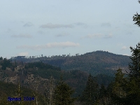 Widok z okolic abnicy