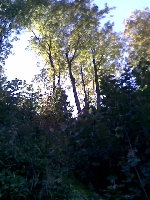 A to s� moje zdj�cia z parku:)