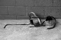 Kamstwo zdy obiec p wiata, zanim prawda woy buty.