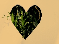 Serducho stuka w rytmie.. 