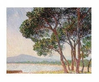 m�j widok na �wiat