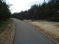 UE wspiera asfaltow ekologi