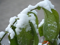 Zima zaatakowa�a w grudniu 2