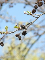 Stare i nowe, tu� obok siebie