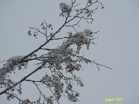 Pocz�tek grudnia 6