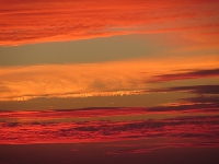 pod znakiem przymierza