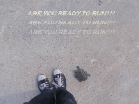 Are you ready to run?
