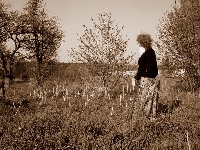 elementy przyrody o�wionej [byM]