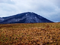 Che�miec, Wa�brzych