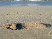 �lad zapomnianego lata