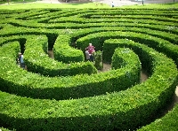 i w kt�r� teraz stron�?