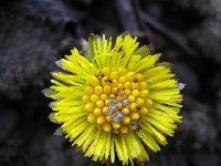 4 lutego nad So��