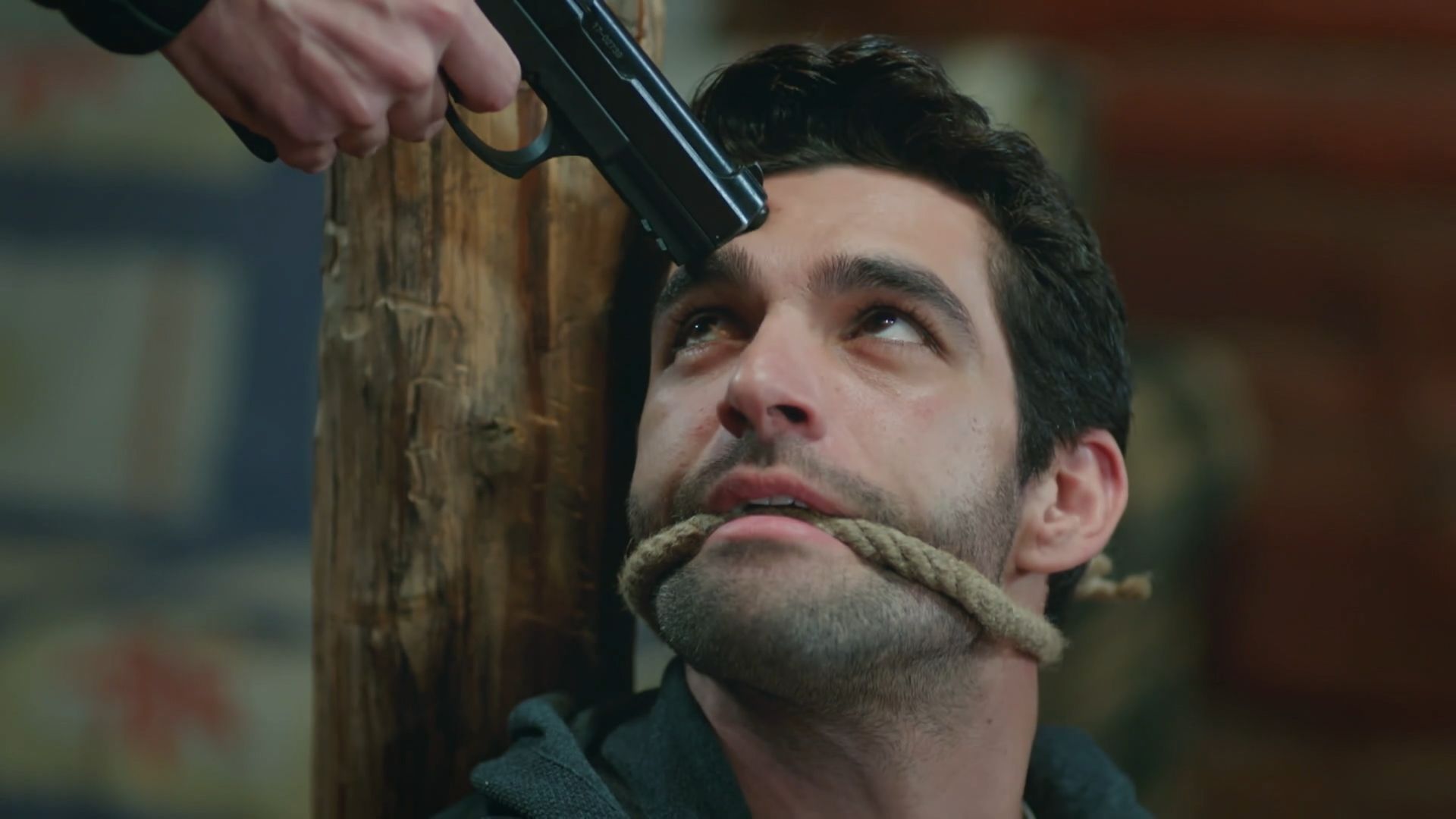 News Dziedzictwo odc. 479 i 480 streszczenie: Seher przygotowuje wyj�tkowy prezent dla Yusufa! Tymczasem Ali wpada w pu�apk�