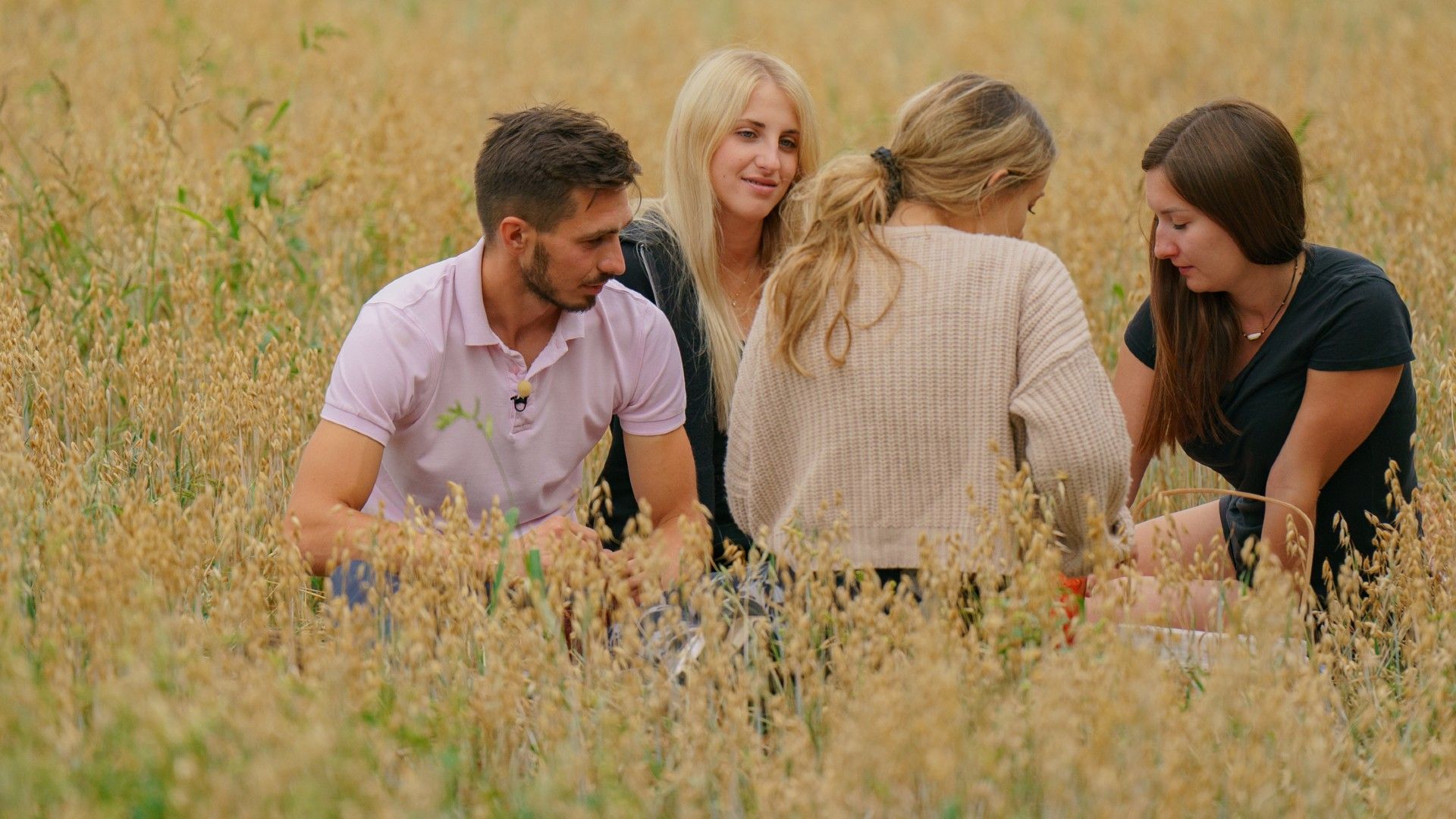 News Rolnik szuka �ony 10 edycja - co wydarzy si� w 6 odcinku?�Bohaterowie ci�ko pracuj� i randkuj�! 