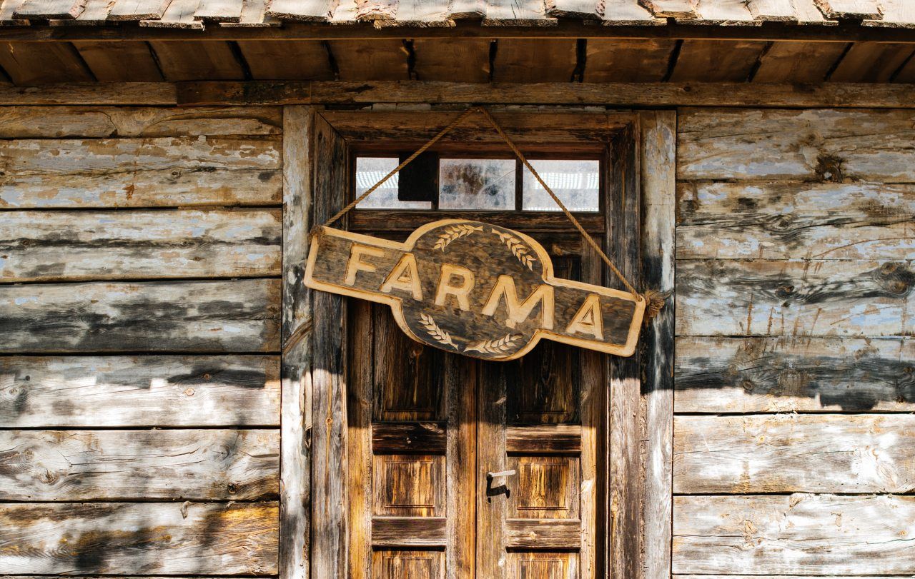 News Farma sezon 3 - odcinek 5 i 6. Kto opu�ci program - Magda czy Kamila?