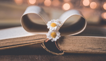 News Porzucone na deszczu ksi��ki uratowane przez przechodnia�