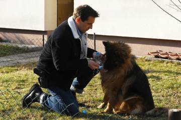 News Komisarz Alex: sezon 20 - odc. 250 i odc. 251: Jacek Majewicz, dostawca jedzenia zostaje zamordowany. Co si� wydarzy?