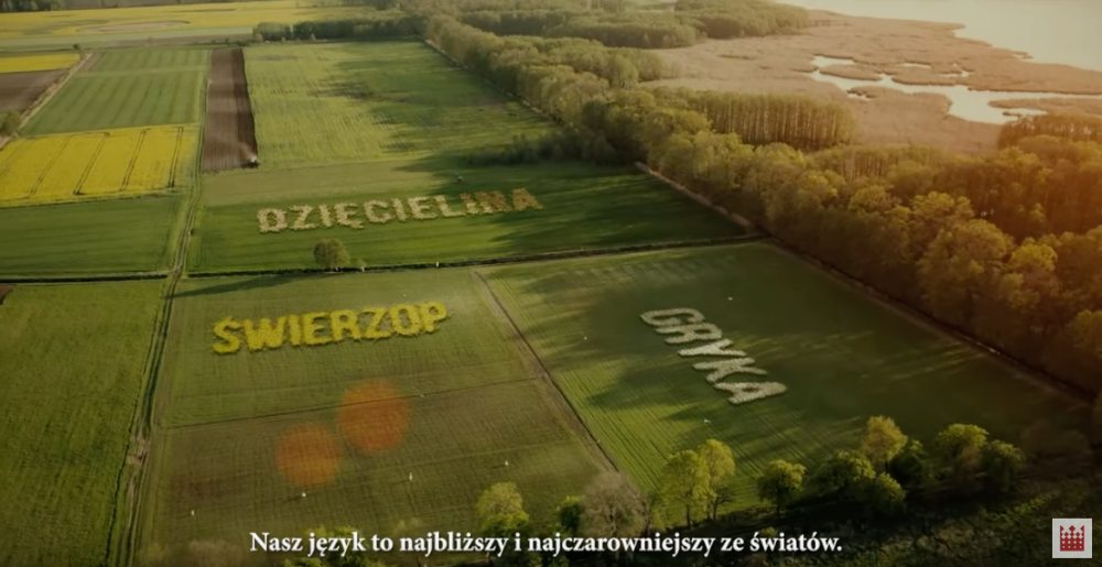 News Powsta� spot promuj�cy j�zyk polski. Na nagraniach us�yszymy o dwudzionku i dzi�cielinie