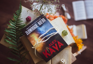 News Wyszukiwa� bomby w Afganistanie. Fragment ksi��ki „Z�owrogie niebo