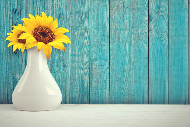 News Oto najlepsze ksi��ki na lato!