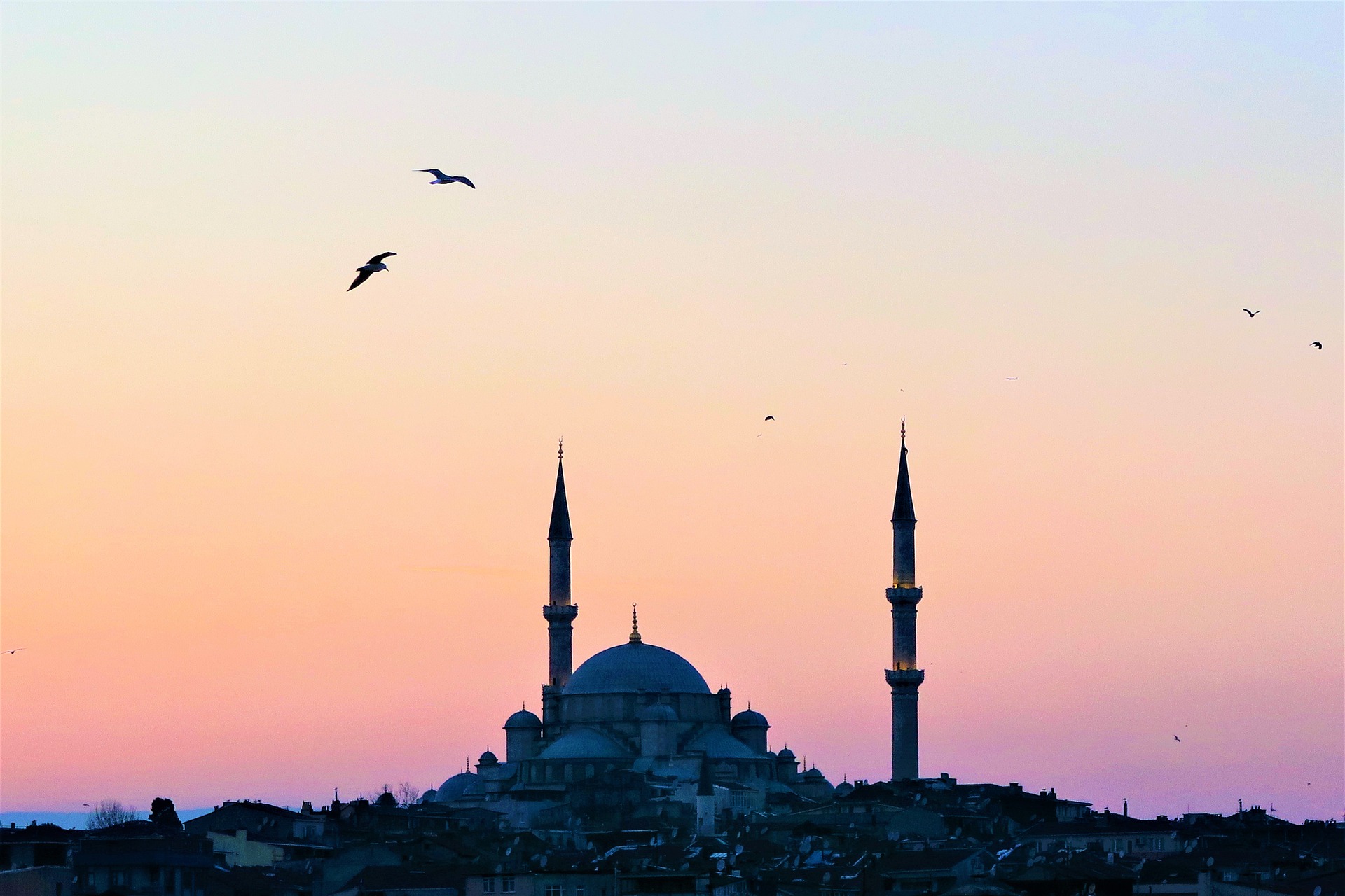 News Wspania�e stulecie – ognisty romans su�tana. Co wydarzy si� w 2 i 3 odcinku serialu