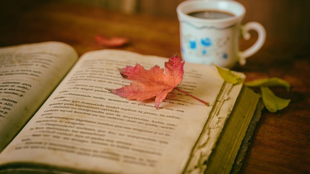 książki dla biblioteki