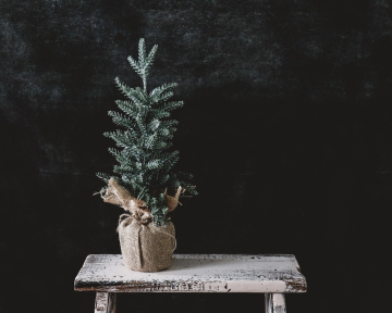 News Zaczytanych �wi�t!