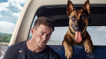 News Pies - cz�owiek i pies w dalej podr�y 