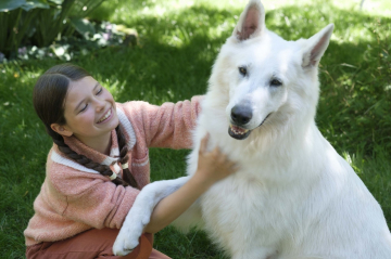 News „O psie, kt�ry je�dzi� kolej�” – film ma dosta� szcz�liwe zako�czenie?