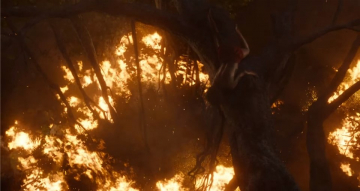 News Ksi�ga d�ungli – Mowgli ucieka przed wielkim zagro�eniem!