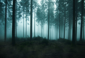 News Stan zagro�enia – Co doprowadzi�o do tragedii w Smole�sku?