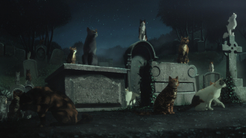 News Netflix udost�pni� dodatkowy odcinek „Sandmana”! O czym opowiada 11 epizod?