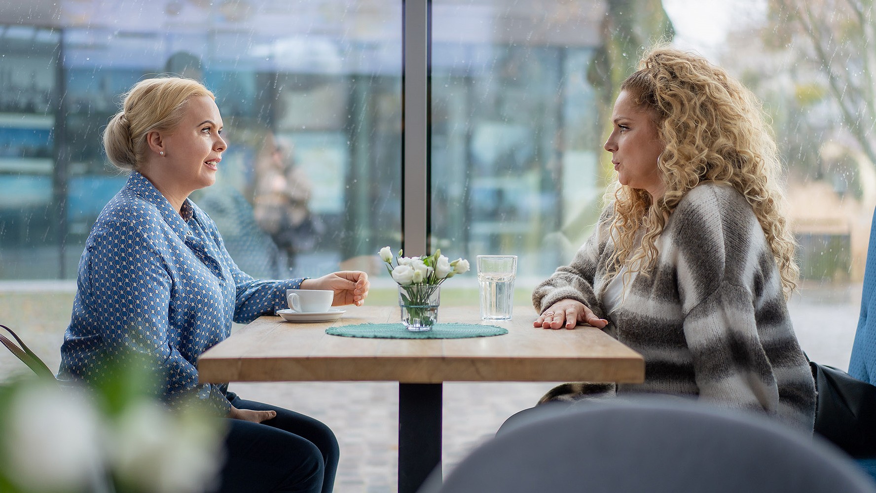 News Przyjaci�ki 250 odc. Marta znajduje Brunona. Musi walczy� o psa. Streszczenie 250 i 251 odc. 