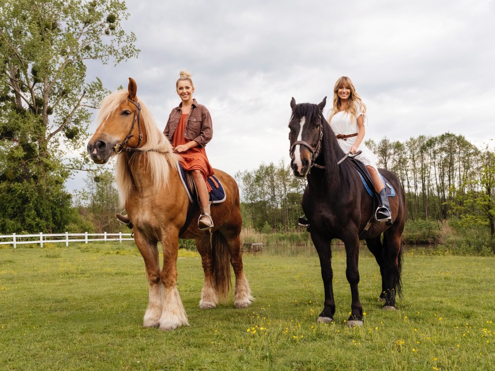 News Farma - odcinek 41 i 42. Co wydarzy si� w nowych odcinkach 2 sezonu show? 