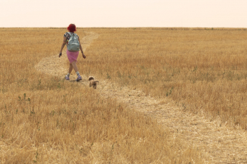 News „Rainbow” – hiszpa�ski film zainspirowany Czarnoksi�nikiem z krainy Oz ju� dzi� na Netflixie!