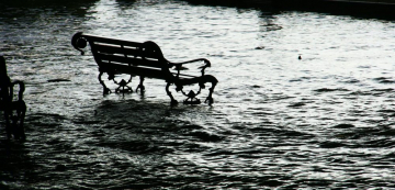 News Tysi�ce ksi��ek z biblioteki zosta�o zniszczonych