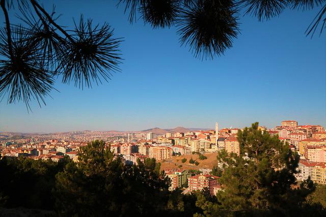 News Zranione ptaki – Co zdarzy si� w 123 i 124 odcinku wieczornego, tureckiego serialu na kanale TVP 2?