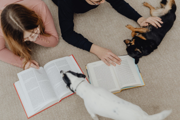 News Alpaki-czytelniczki pojawiły się w bibliotece. Oto pupile wśród bibliotecznych regałów