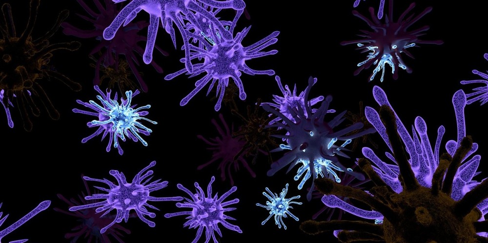 Wirusy na książkach