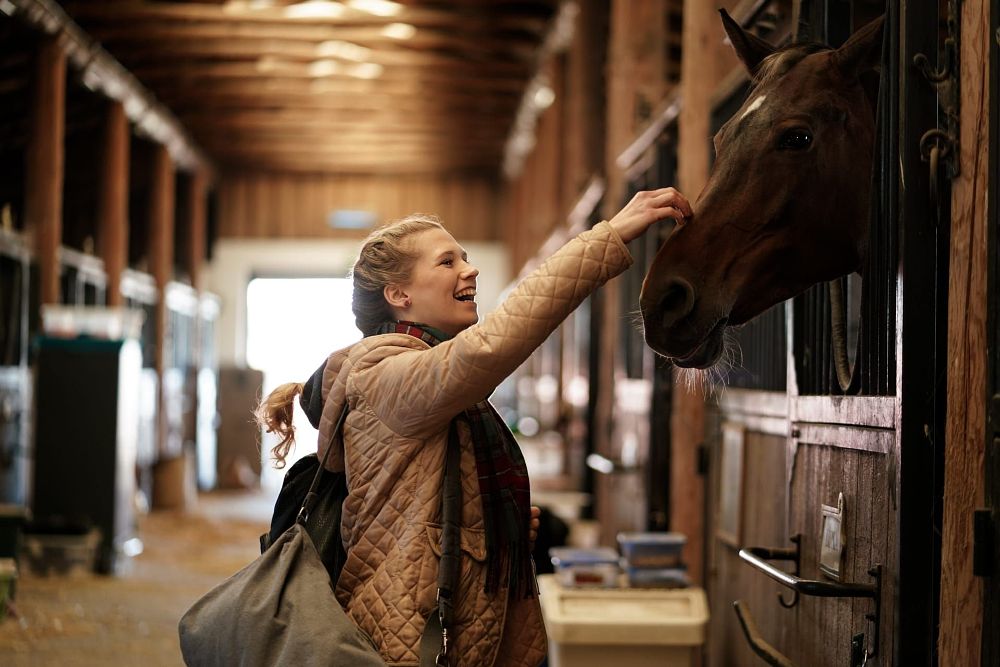 News Le�nicz�wka – 688 odcinek ju� dzi� w TV! Wiktor chce przej�� na emerytur�