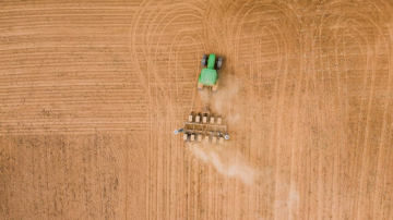 News Ogromny portret Fiodora Dostojewskiego wykonano na polu