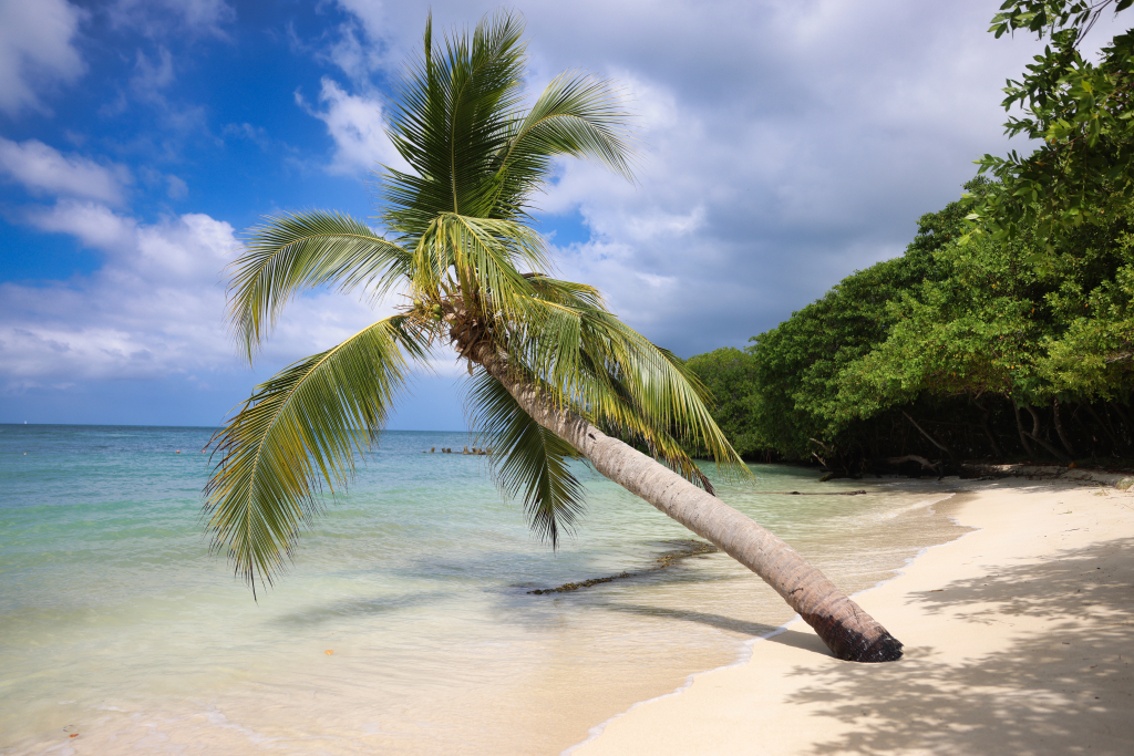 News True Love - 19 odc. Czy Kuba si� uspokoi�? Streszczenie 19 i 20 odcinka